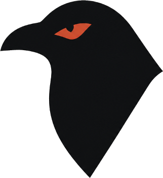 Observer Raven Sentinel