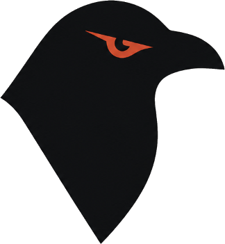 Protector Raven Sentinel